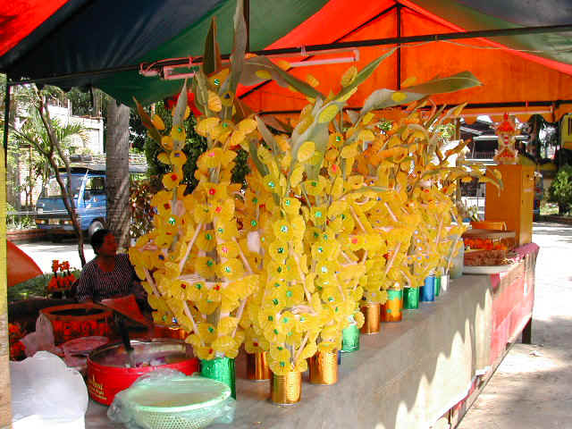 Dscn0260.jpg (128117 octets)